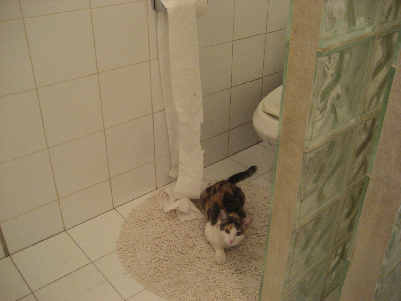 罗马尼亚队赛制分析:团体赛中的配合默契与技术选择,罗马尼亚赛程500